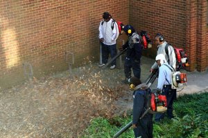 The Day Ben Kallos Got Me Thinking About NOISE! A phalanx of operators tackles the challenge of a threatening pile of leaves.