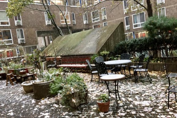 Monday Snow Day, But How Much? Last year's first snow, November 15th, in the Senior Center garden.