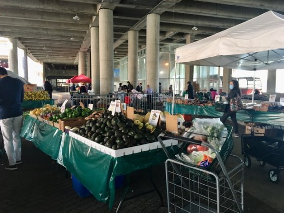 Christmas Week Updates for Roosevelt Island The Roosevelt Island Farmers Market as well as the Free Food Pantry will not return until 2021.