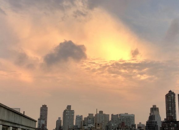 The Daily Grows with Roosevelt Island News @ Assorted Ideas An August morning from Roosevelt Island.