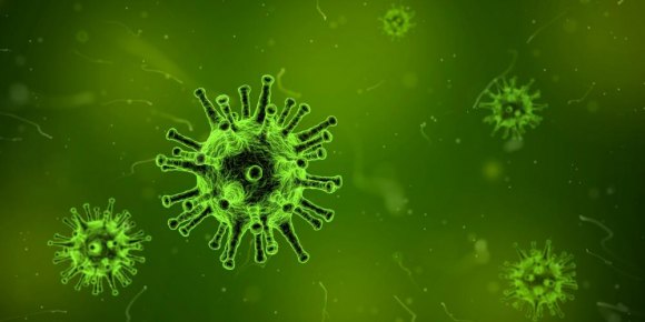 231 Test Positive for Coronavirus on Roosevelt Island 231 Test Positive for Coronavirus on Roosevelt Island