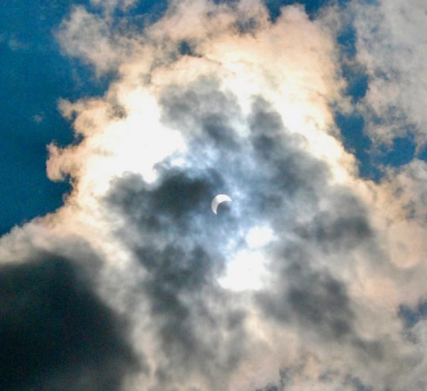 Solar Eclipse 2017 Brings Out Roosevelt Island's Diversity Star of the Show