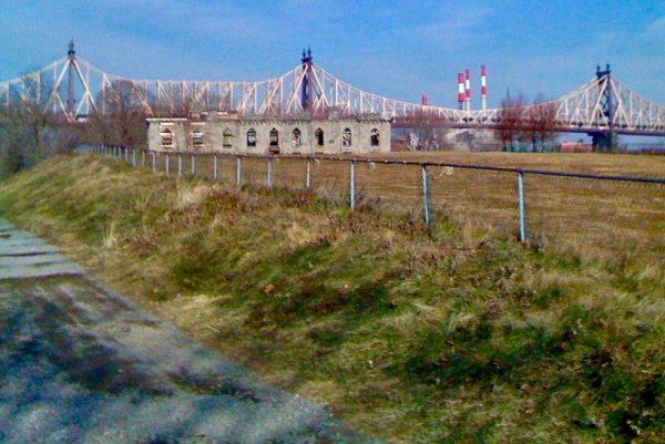 Roosevelt Island's Best Neighbors #1: Four Freedoms Park Conservancy Undeveloped, the southern tip of Roosevelt Island waited nearly four decades for the Park.