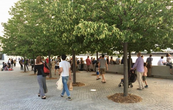 FDR Four Freedoms Park Updates Last summer under the linden trees in FDR Four Freedoms Park