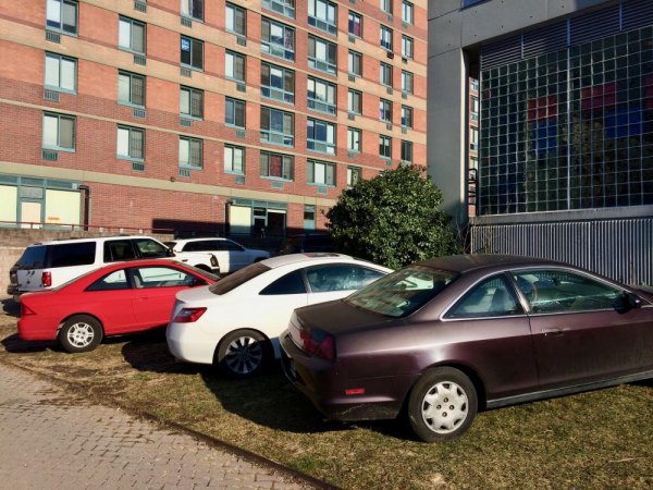 So You Thought the Story About PS/IS 217 and the Trees Couldn't Get Worse... Guess Again Free Parking on the School Lawn Where Trees Were Removed