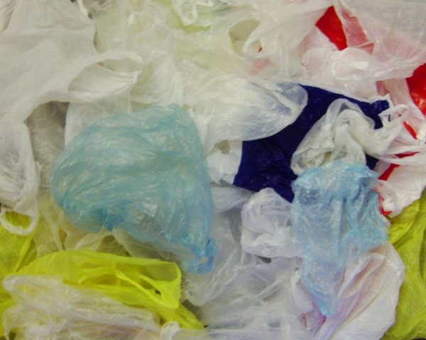 Gov. Cuomo, State Legislature Kill the City's Plastic Bag Law Expect to Keep Seeing Them
