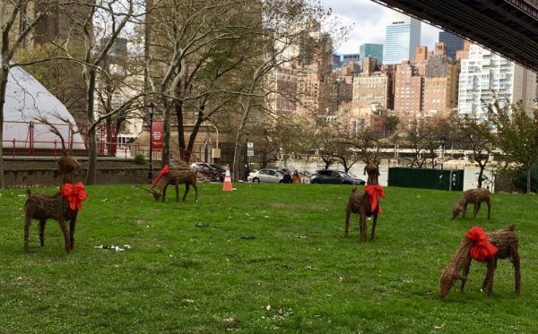 Update: Things That Make You Say, "$75,000 for That?!!" Clearly, the reindeer herd thinned out on the way to Roosevelt Island